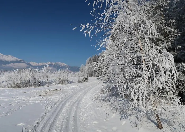 Tatry Golf Апартаменты Велька-Ломница